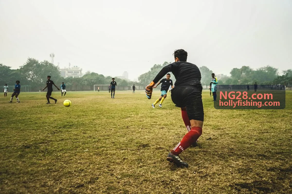NG28 物流追踪
