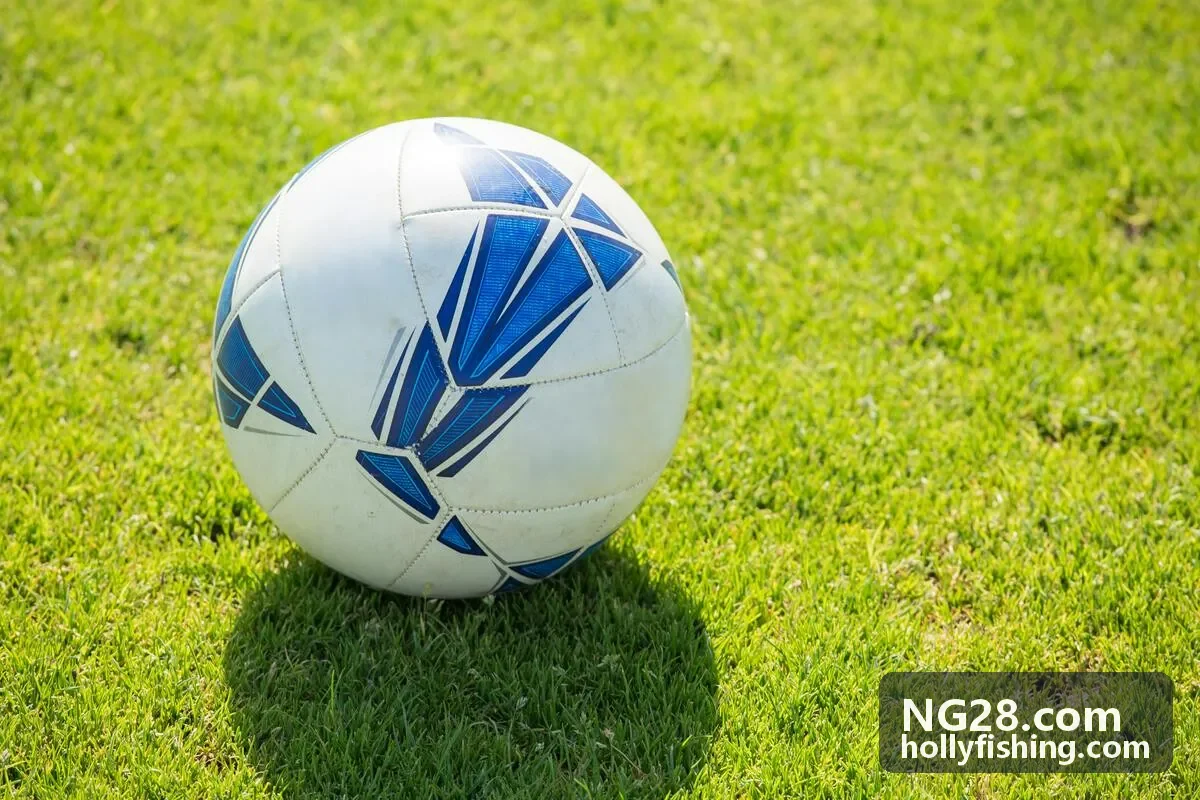 NG28 生态监测